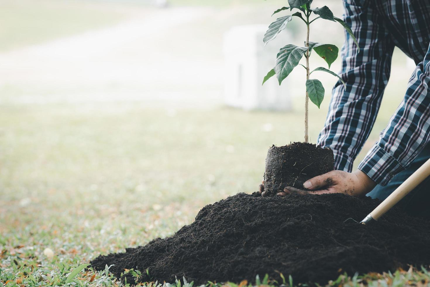 een man plant jonge boompjes in de grond in een tropisch bos en plant een vervangende boom om de opwarming van de aarde tegen te gaan. het concept van het redden van de wereld en het verminderen van de opwarming van de aarde. foto
