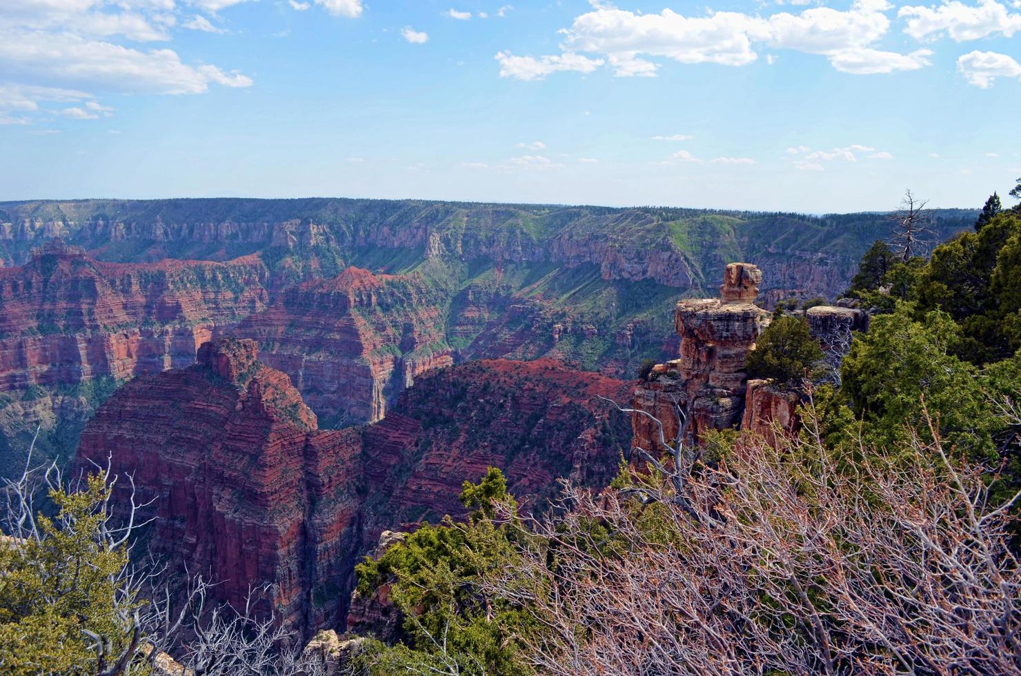 noordrand van de Grand Canyon foto