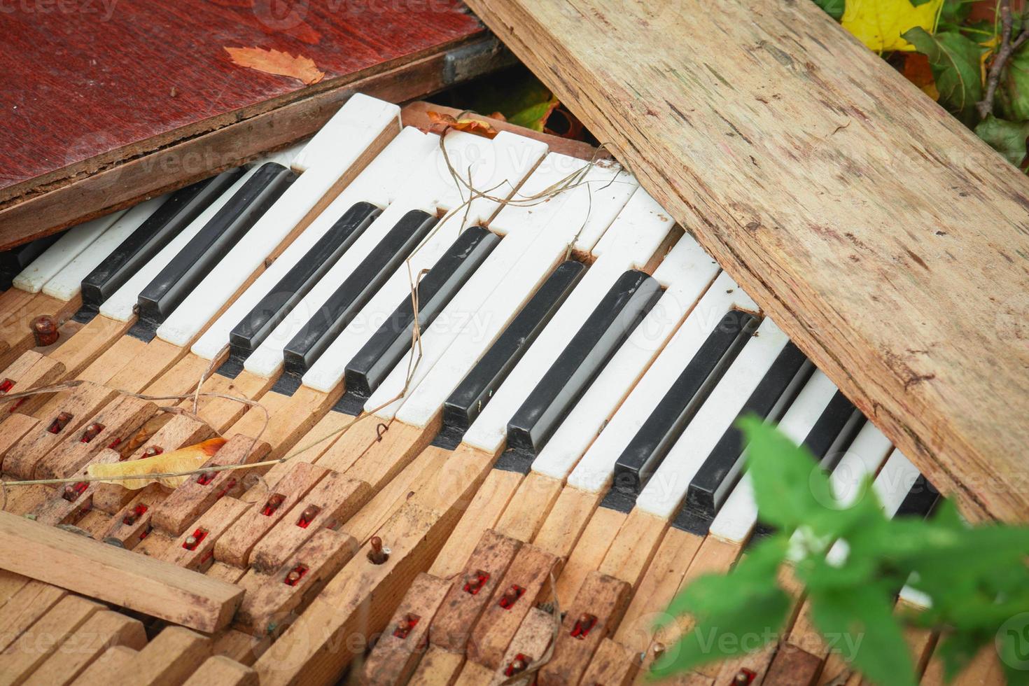 een gebroken muziekinstrument pianotoetsen in een vuilnishoop in groen gras buitenshuis foto
