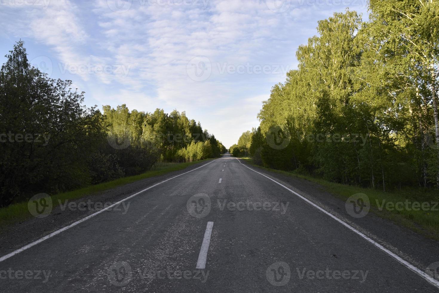 bos snelweg overdag in de zomer foto