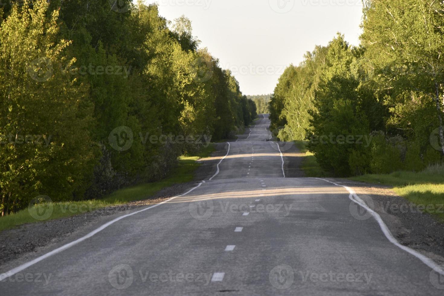 bos snelweg overdag in de zomer foto