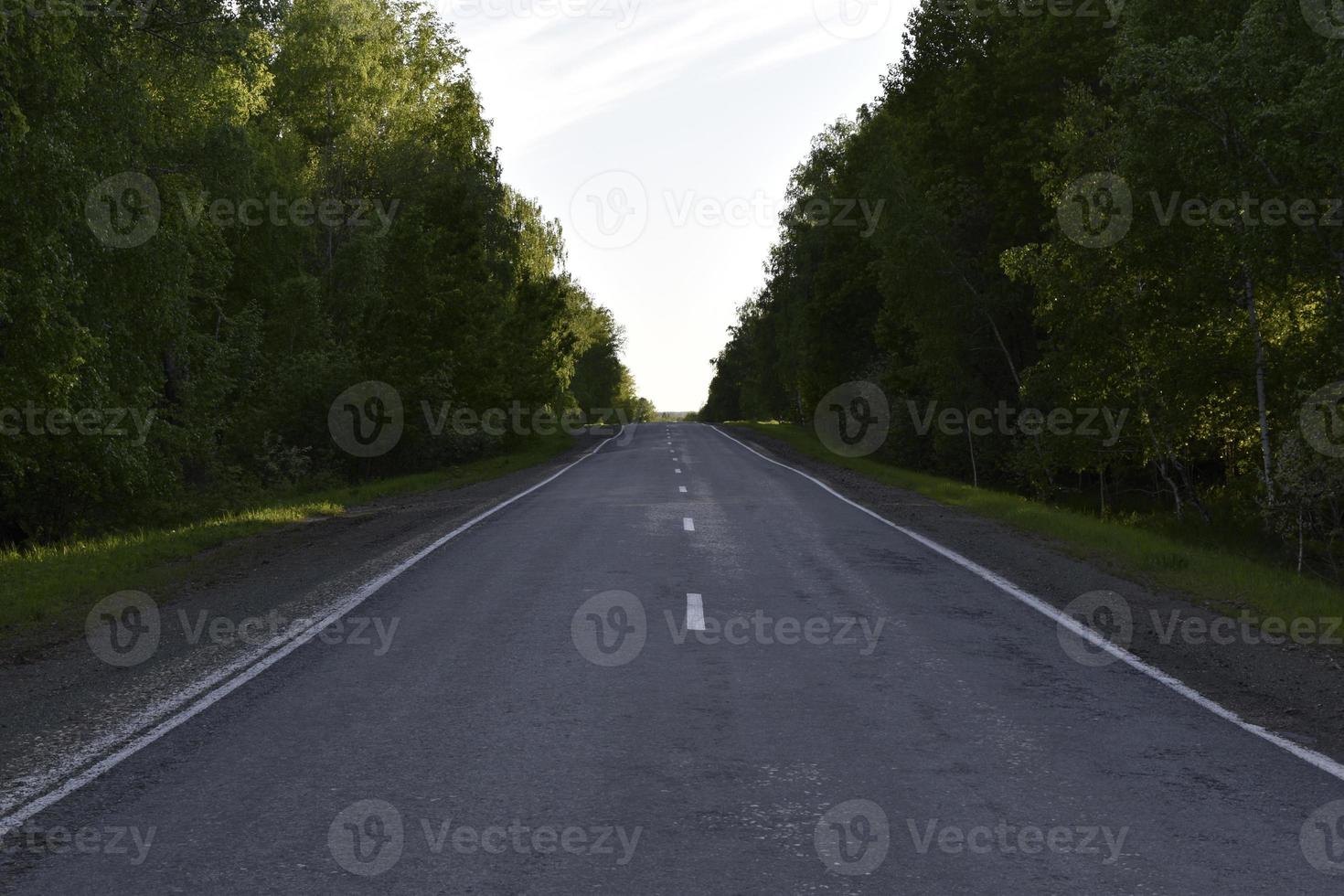 bos snelweg overdag in de zomer foto