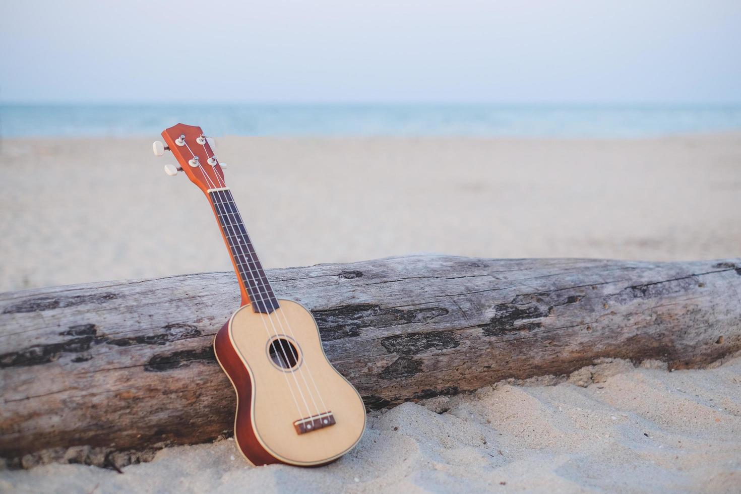 gitaar ukelele op het zandstrand in de buurt van het logboek. zomervakantie en vakantieconcept. foto