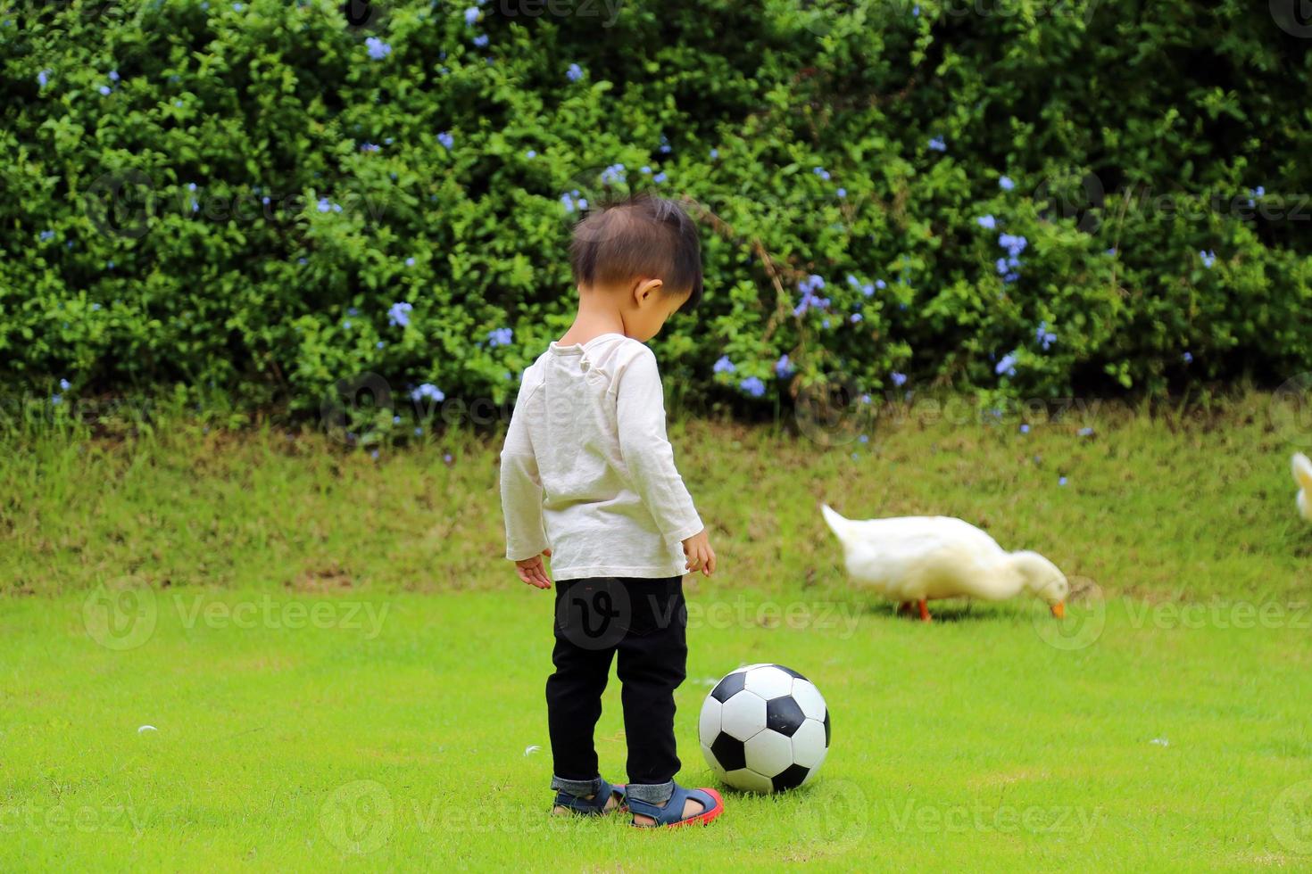 baby voetbalt in het park laat een eend rondlopen. jongen aan het voetballen. foto