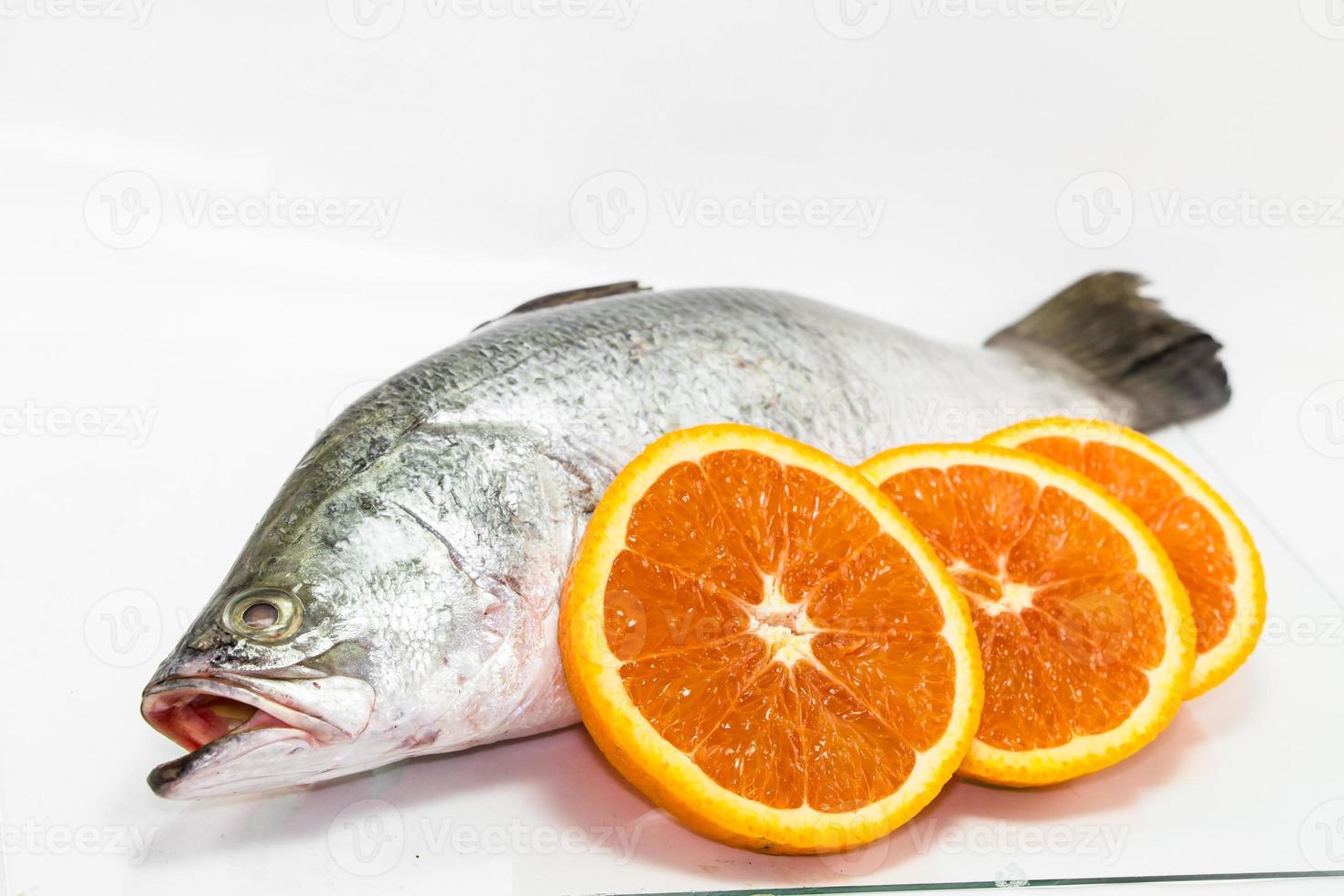 Barramundi vis geïsoleerd op witte achtergrond foto