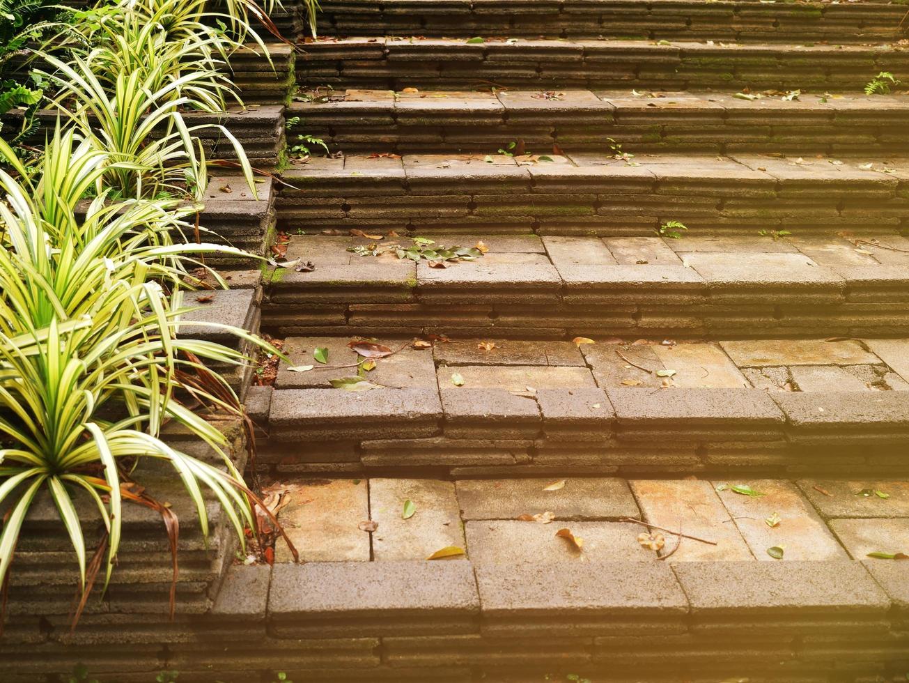 een stenen trap verlicht het pad naar boven in een licht met gras begroeide tuin. foto