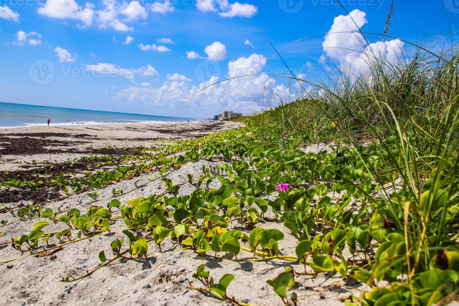 satelliet strand, fl. foto