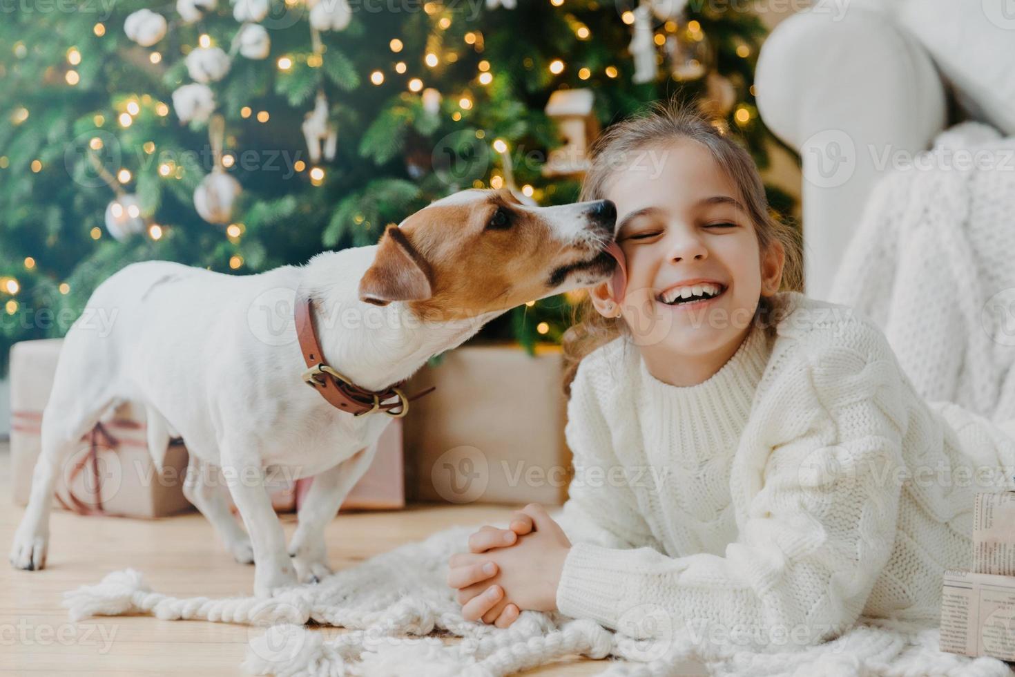 horizontaal schot van blij grappig meisje ontvangt kus van jack russell terrier hond gekleed in winter gebreide trui, geniet van nieuwjaar of kerstboom heeft een brede glimlach. kinderen, huisdieren, liefde, relatie foto