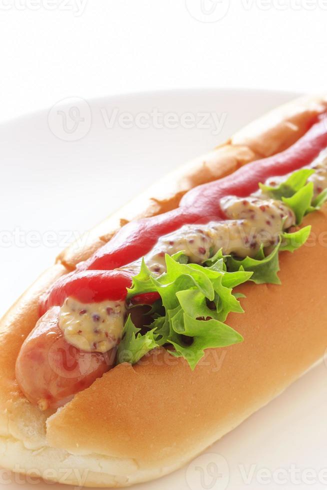 hotdog foto