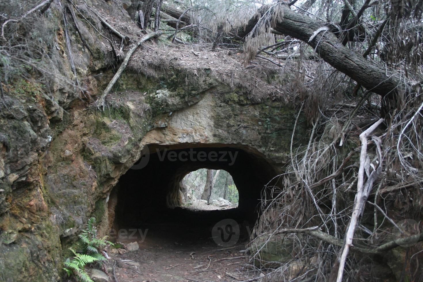 cokes tunnel in het bos foto