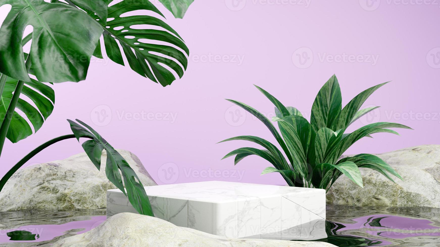 3D-rendering minimaal podiumpodium voor mockuppresentatie met planten en rotsen foto