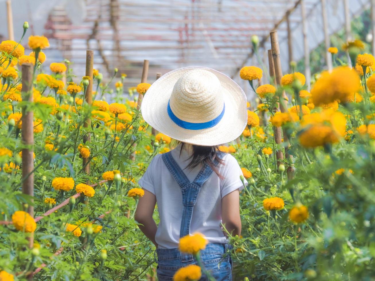 klein meisje met een hoed helpt haar moeder in de goudsbloemtuin, een kleine tuinman. schattig meisje spelen in een mooie bloementuin. foto