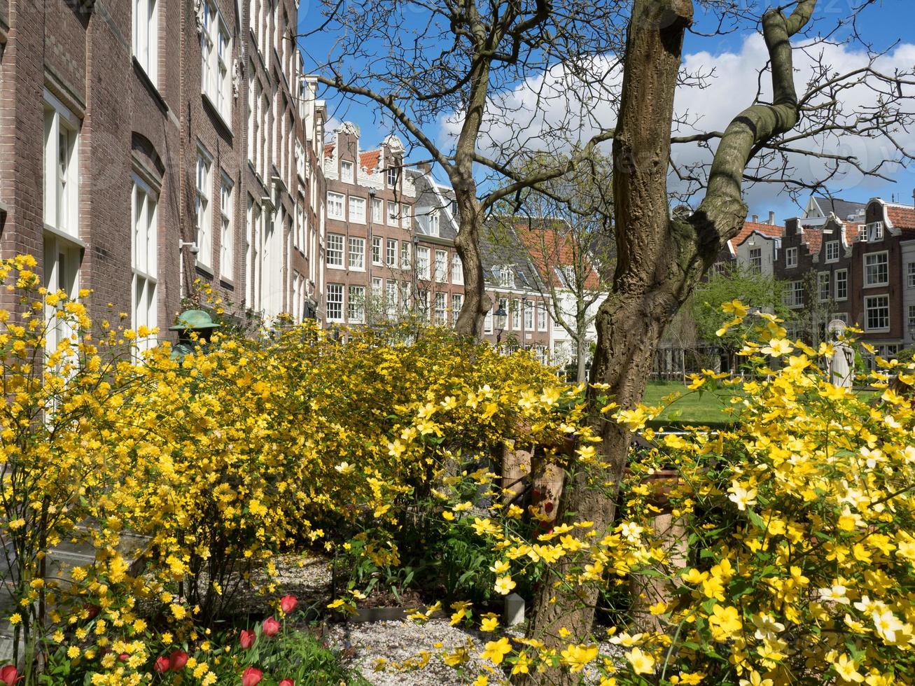 de stad amsterdam in nederland foto