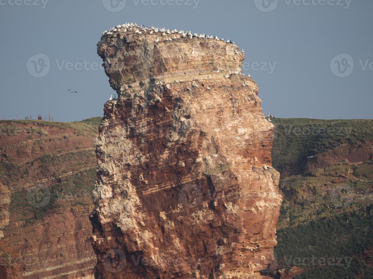 het eiland Helgoland foto