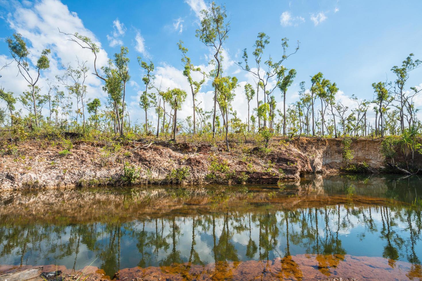 struiken reflectie op duizelingwekkende rivier van gove schiereiland, noordelijke territorium staat australië. foto