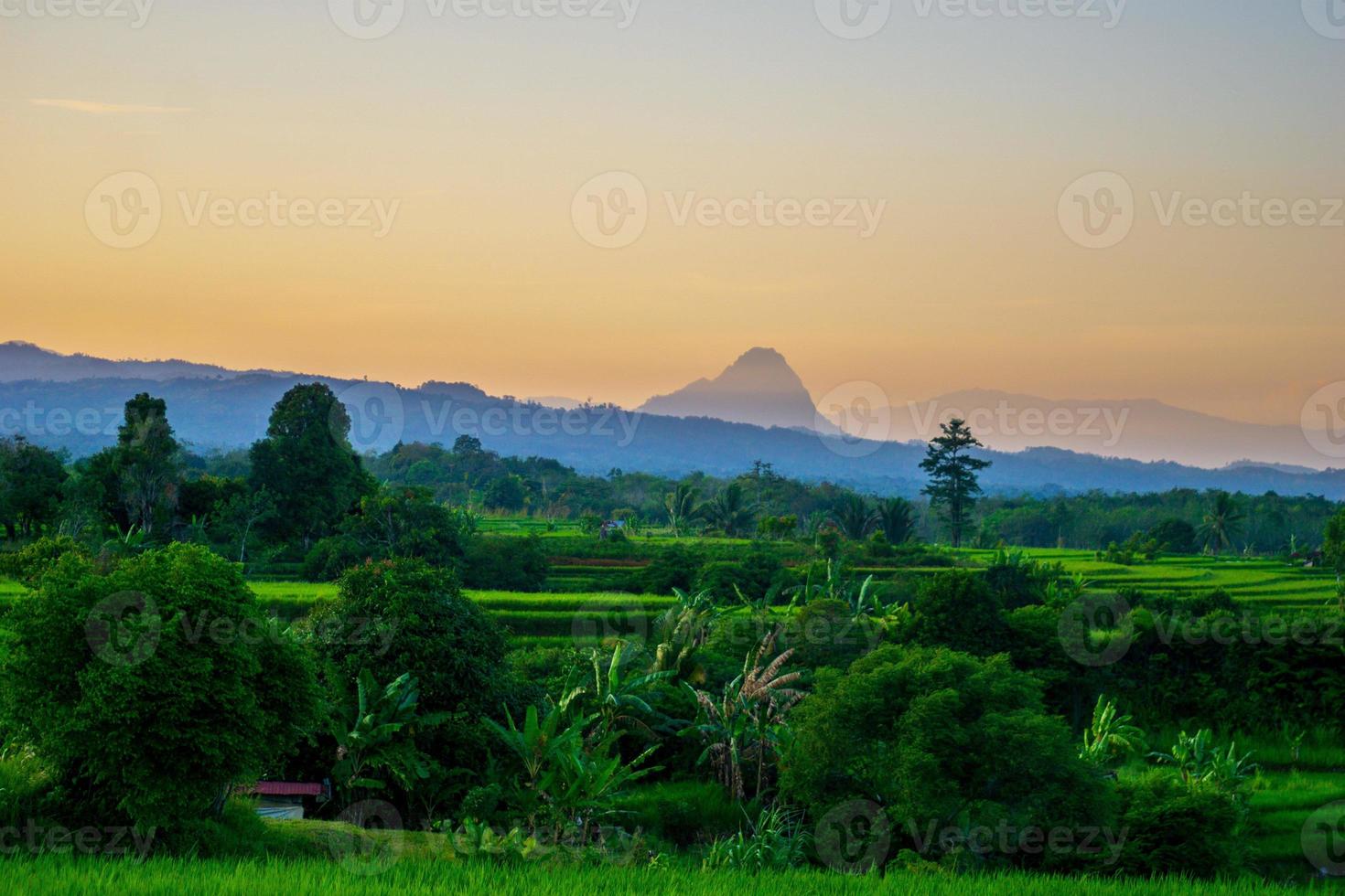 panoramisch uitzicht op rijstterrassen in de ochtend met prachtige bergen in bengkulu foto