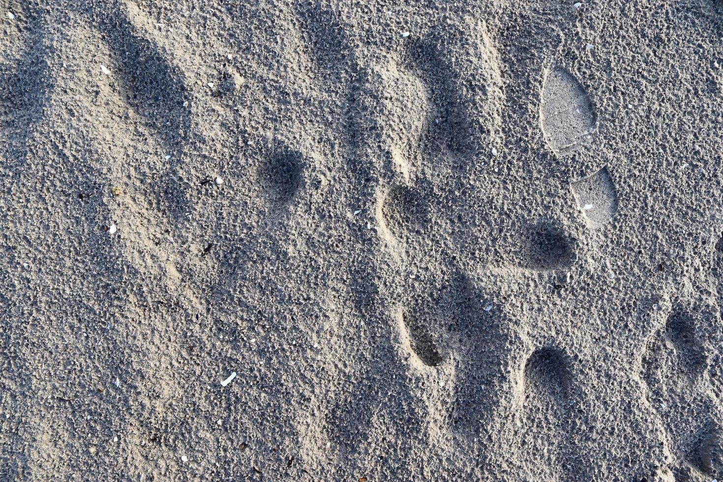 gedetailleerd close-up zicht op zand op een strand aan de Oostzee foto