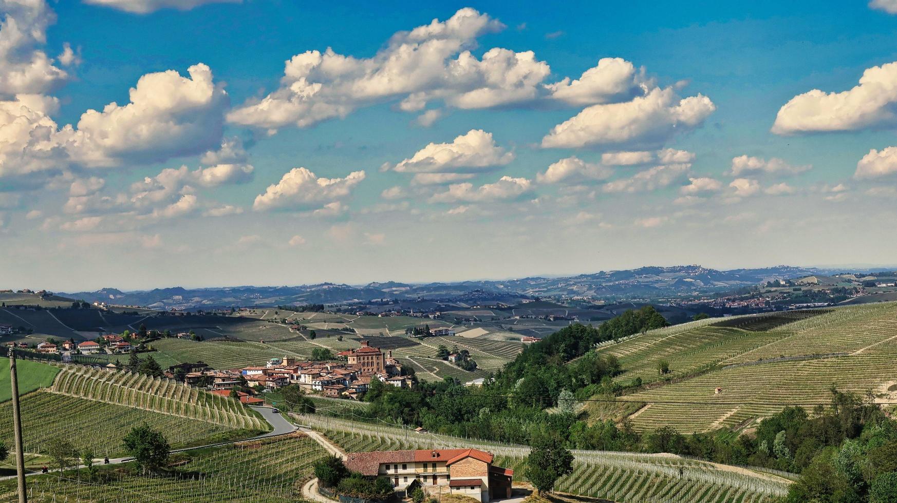 landschappen van de piemontese langhe van barolo en monforte d'alba met zijn wijnstokken in de lente van 2022 foto
