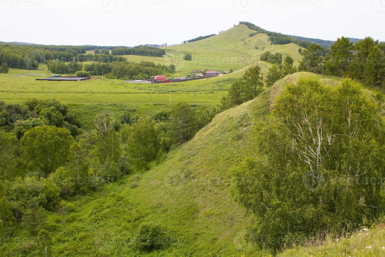 bergen bedekt met groen gras en bos op een zomerdag. foto