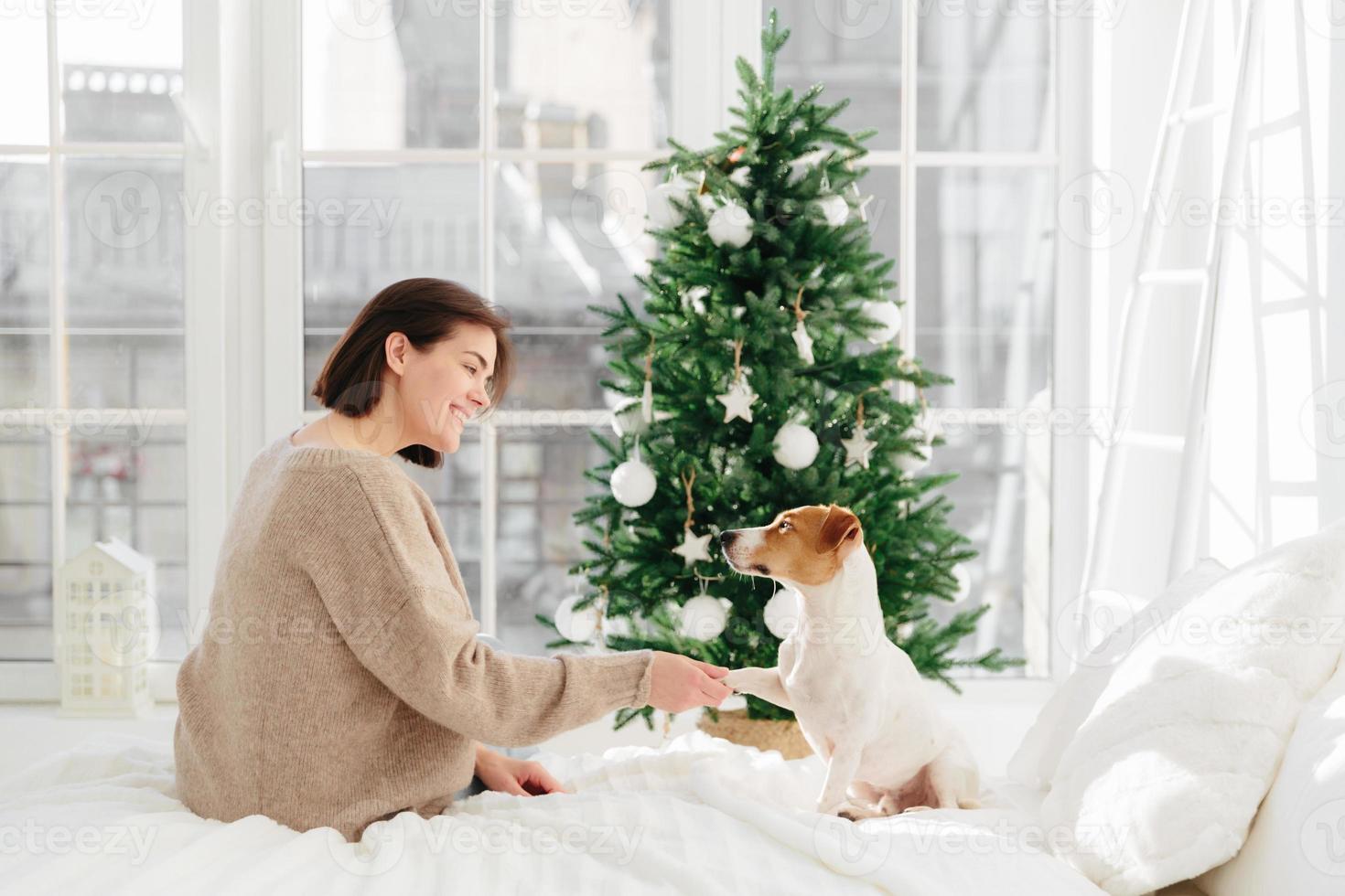 schattige grappige hond poseert met vrouwelijke gastheer op bed, geeft poot, geniet van comfort en gezelligheid, poseert tegen versierde nieuwjaarsboom, fijne feestdagen. mensen, vakantie, dieren en relatieconcept foto