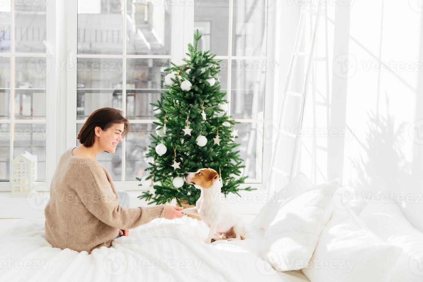 gelukkig wintervakantie concept. positieve mooie vrouw speelt met hond, gekleed in vrijetijdskleding, poseert op bed in een gezellige slaapkamer, rust uit na decoratie van de nieuwjaarsboom. kersttijd met lief huisdier foto