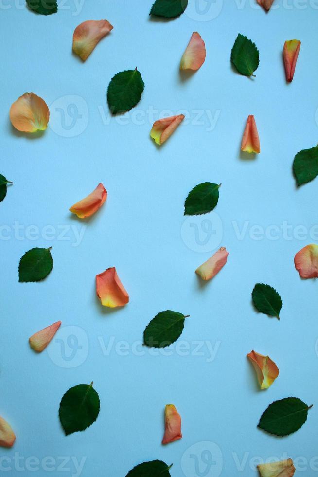 rozenblaadjes en bladeren op de blauwe achtergrond foto