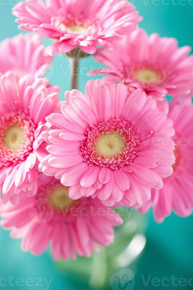 mooi roze gerberabloemenboeket in vaas foto