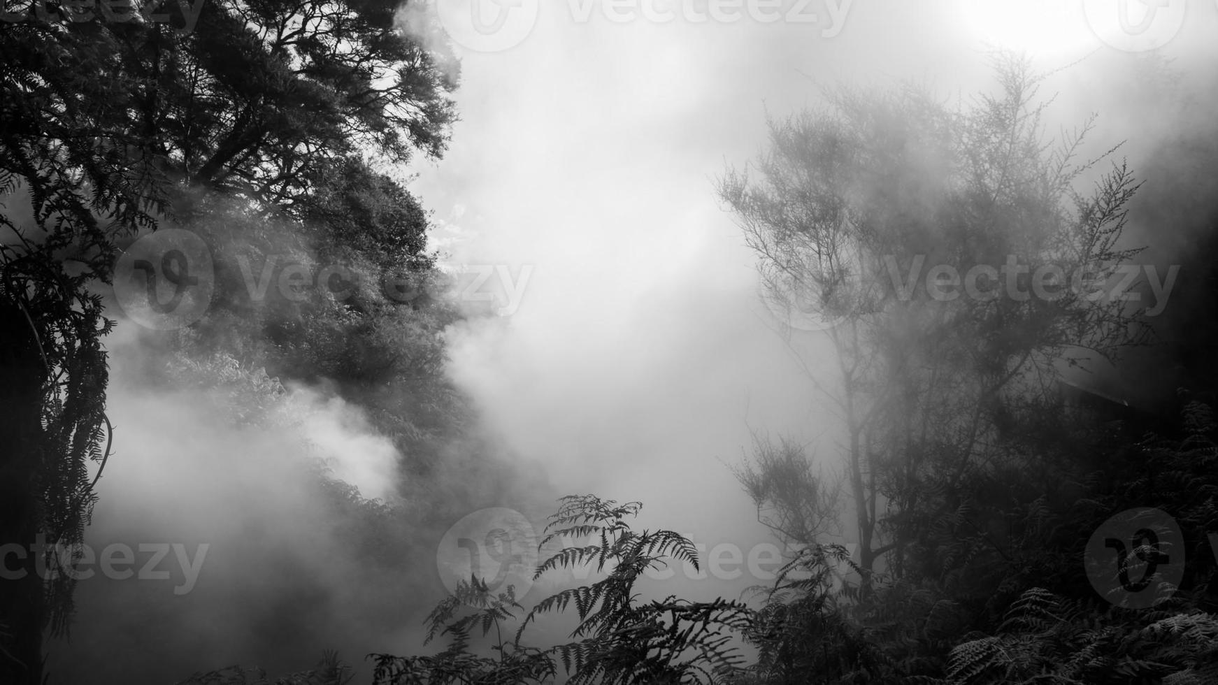 mistige bomen door een kokende rivier foto