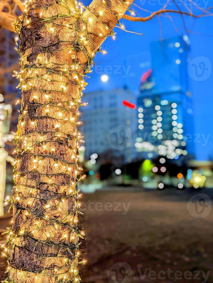 charlotte nc vroege ochtend versierd met kerstverlichting foto