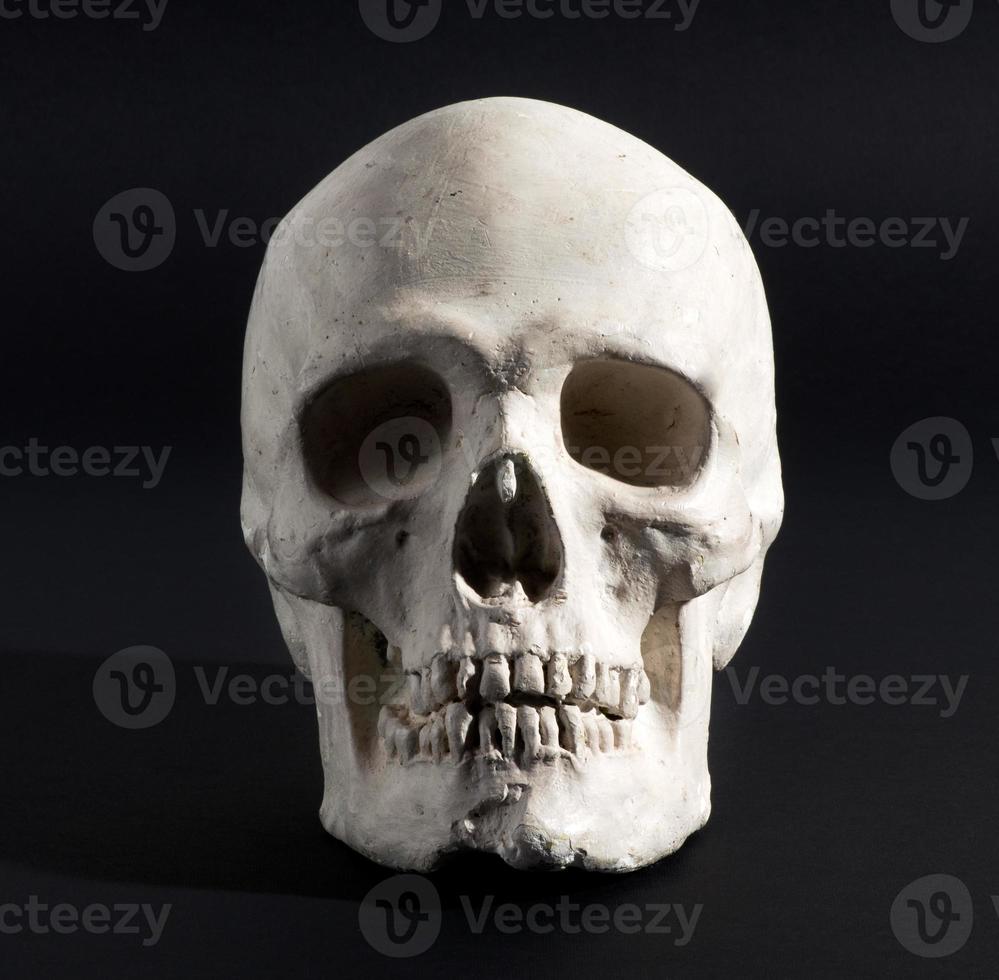 menselijke schedel op een zwarte achtergrond foto