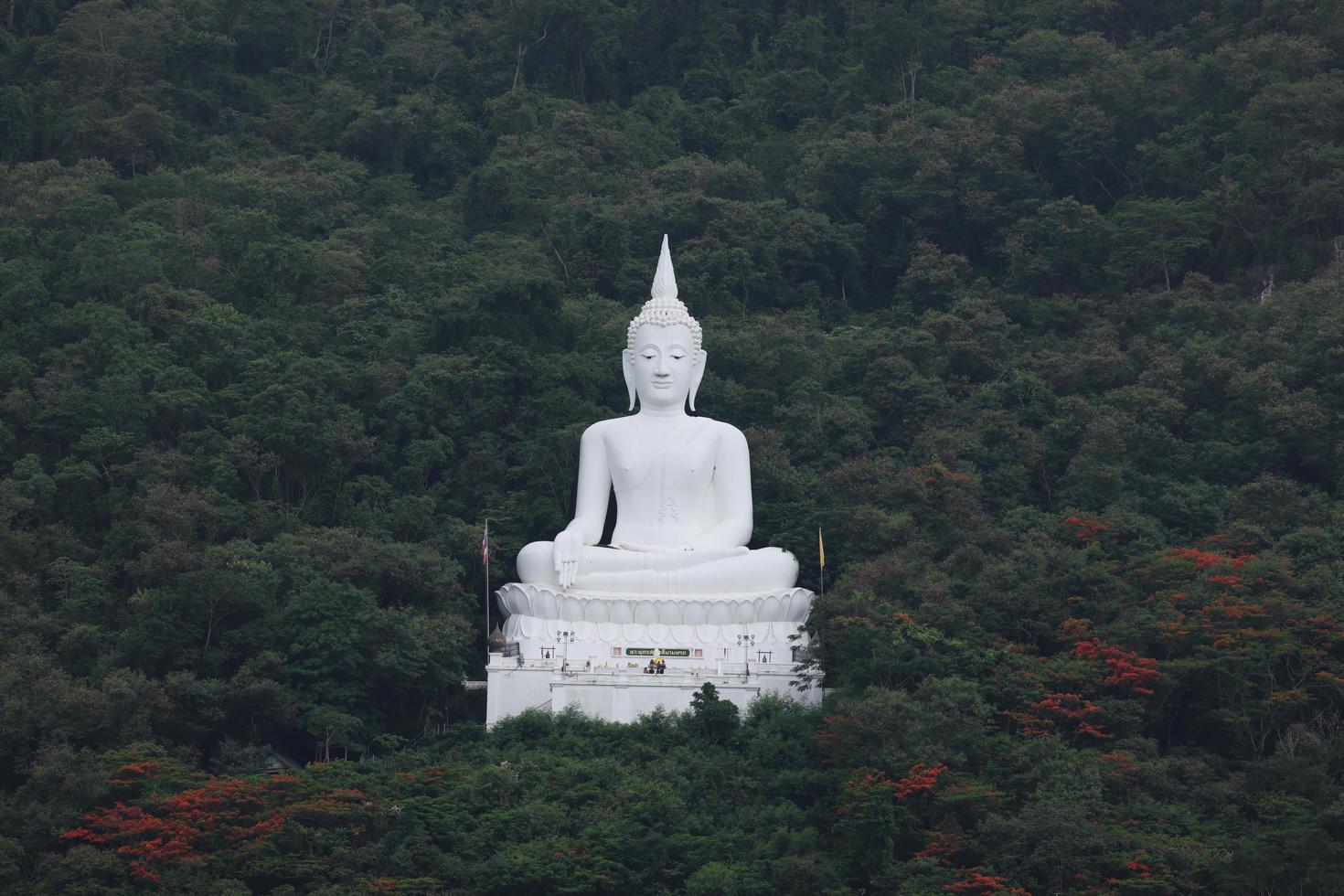 het uitkijkpunt voor de witte boeddha ligt midden op een groene bosheuvel. wat phra khao in nakhon ratchasima, thailand, op 16-05-2022 foto