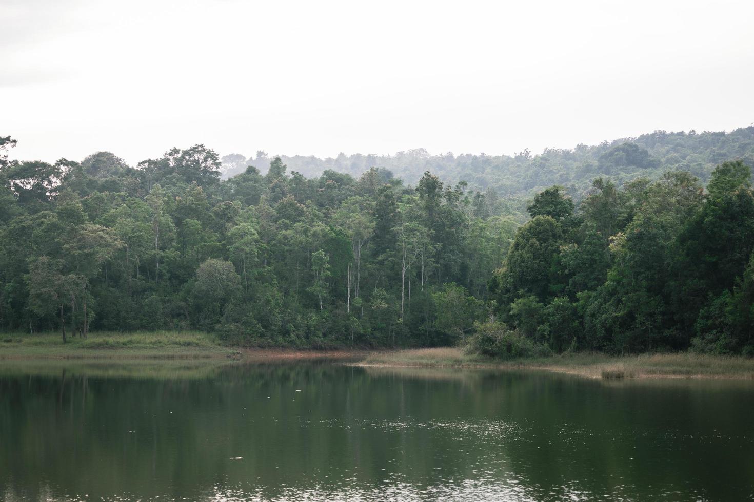 mensen bezoeken de prachtige natuur, groene bossen op vakantie in Khao Yai National Park, Thailand, 16-05-2022. foto