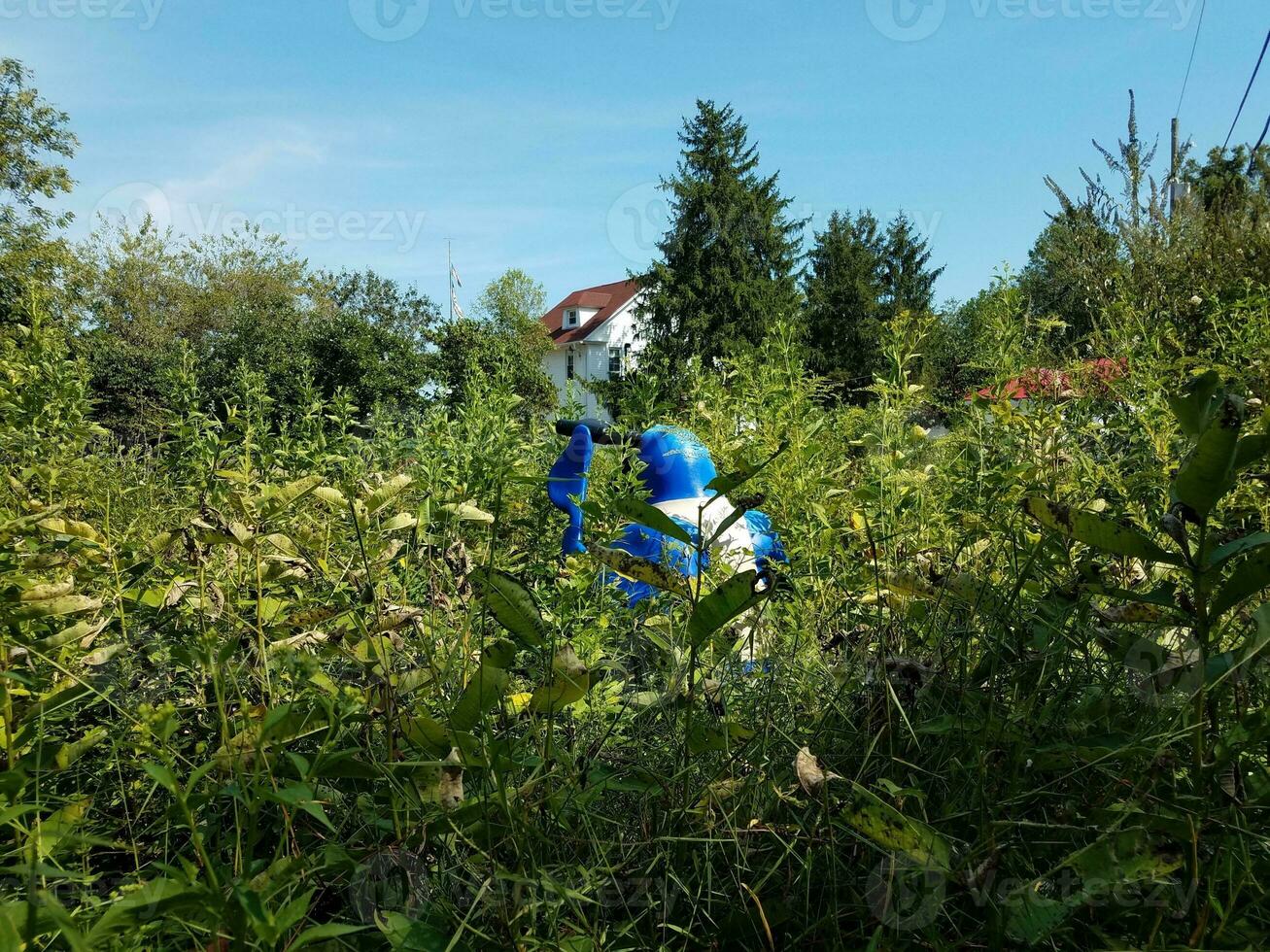 blauwe vogels kijken met een verrekijker en groene planten foto