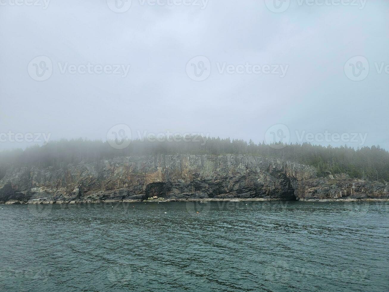 rotsachtige kust en bomen en en kreeftdrijvers in Maine foto