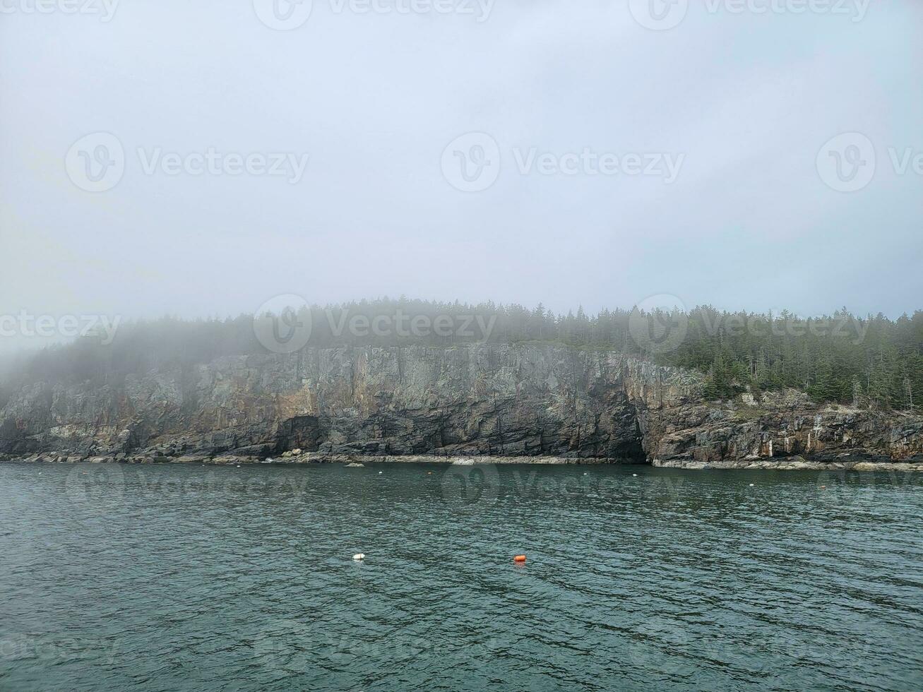 rotsachtige kust en bomen en en kreeftdrijvers in Maine foto