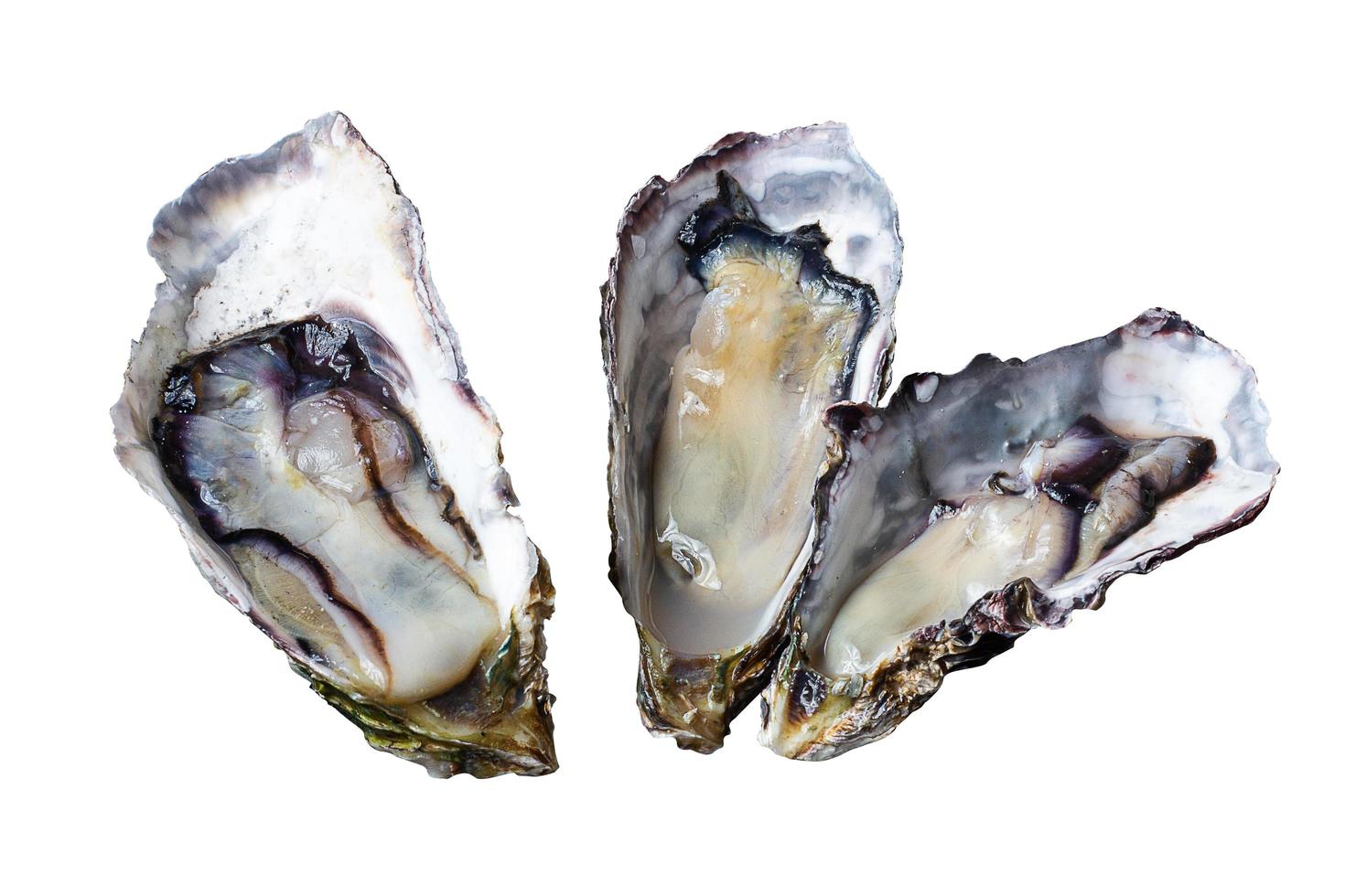 3 verse oesters geïsoleerde witte achtergrond. foto