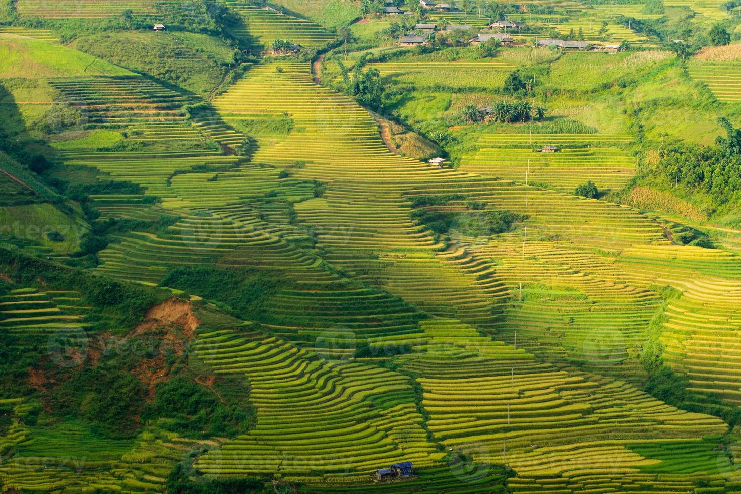 rijstterrassen in Vietnam foto