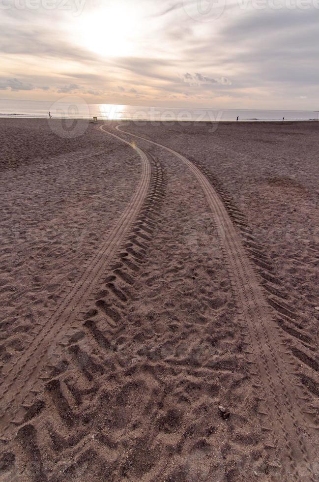 wielsporen in het zand foto