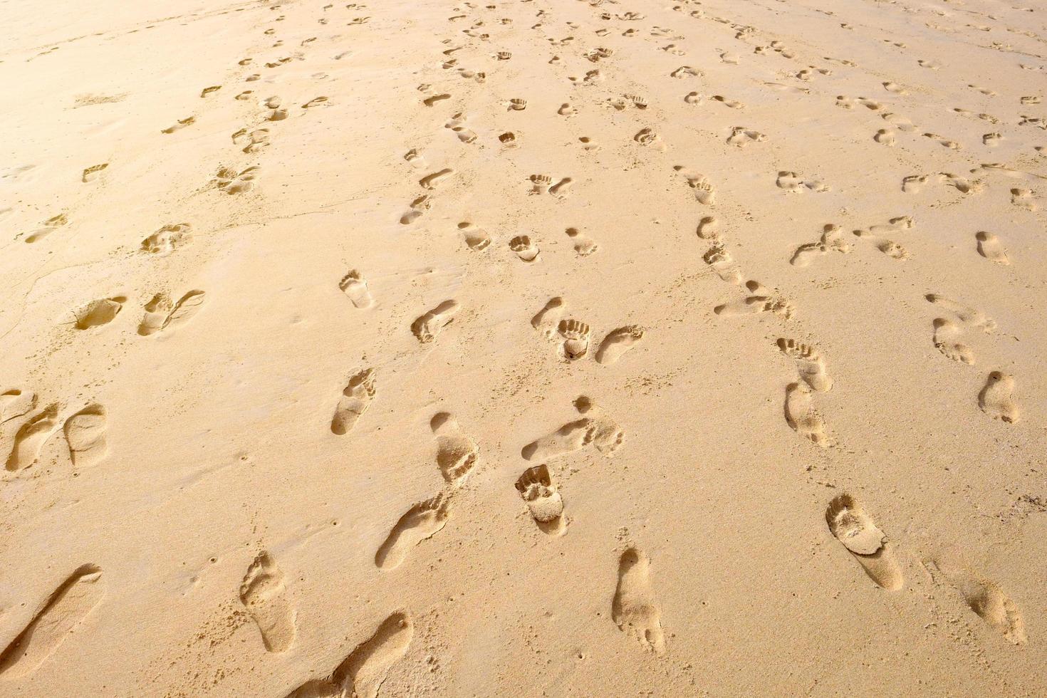 veel voetafdrukken op zandstrand achtergrond. foto