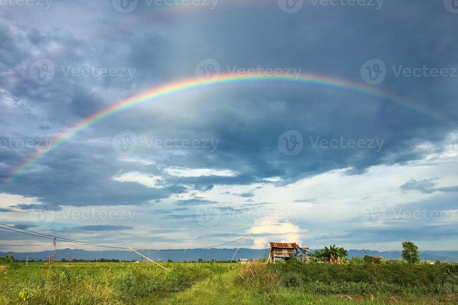 regenboog in de lucht boven landbouwveld foto