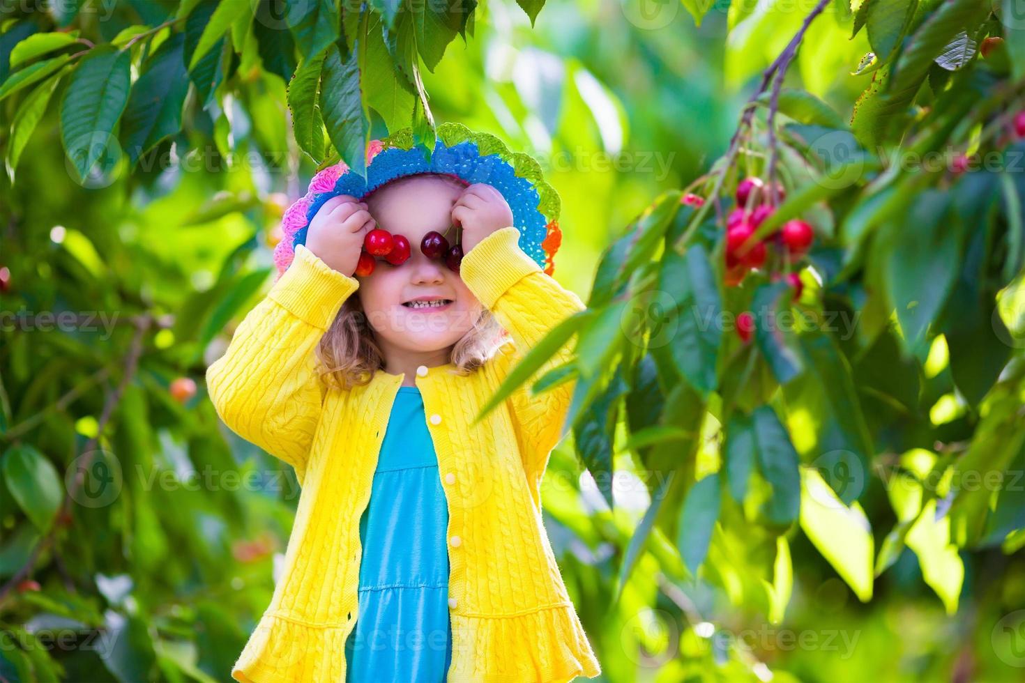 schattig klein meisje verse kers plukken op een boerderij foto