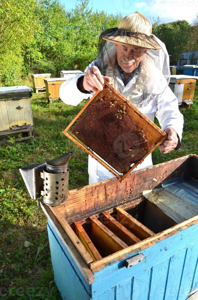 ervaren senior apiarist die inspectie maakt in de bijenteelt na het zomerseizoen foto