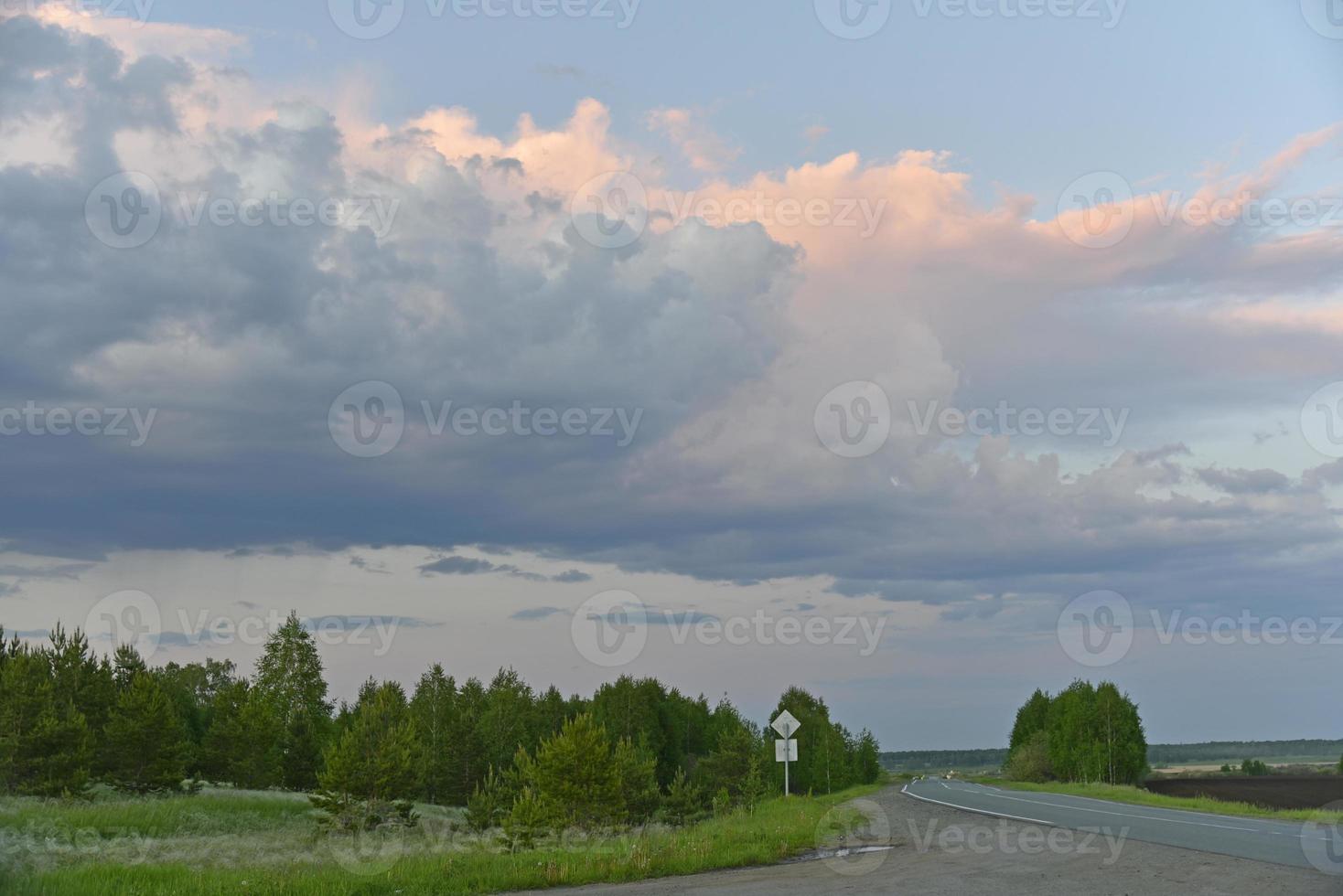 avond bos horizon met donderende roze wolken foto