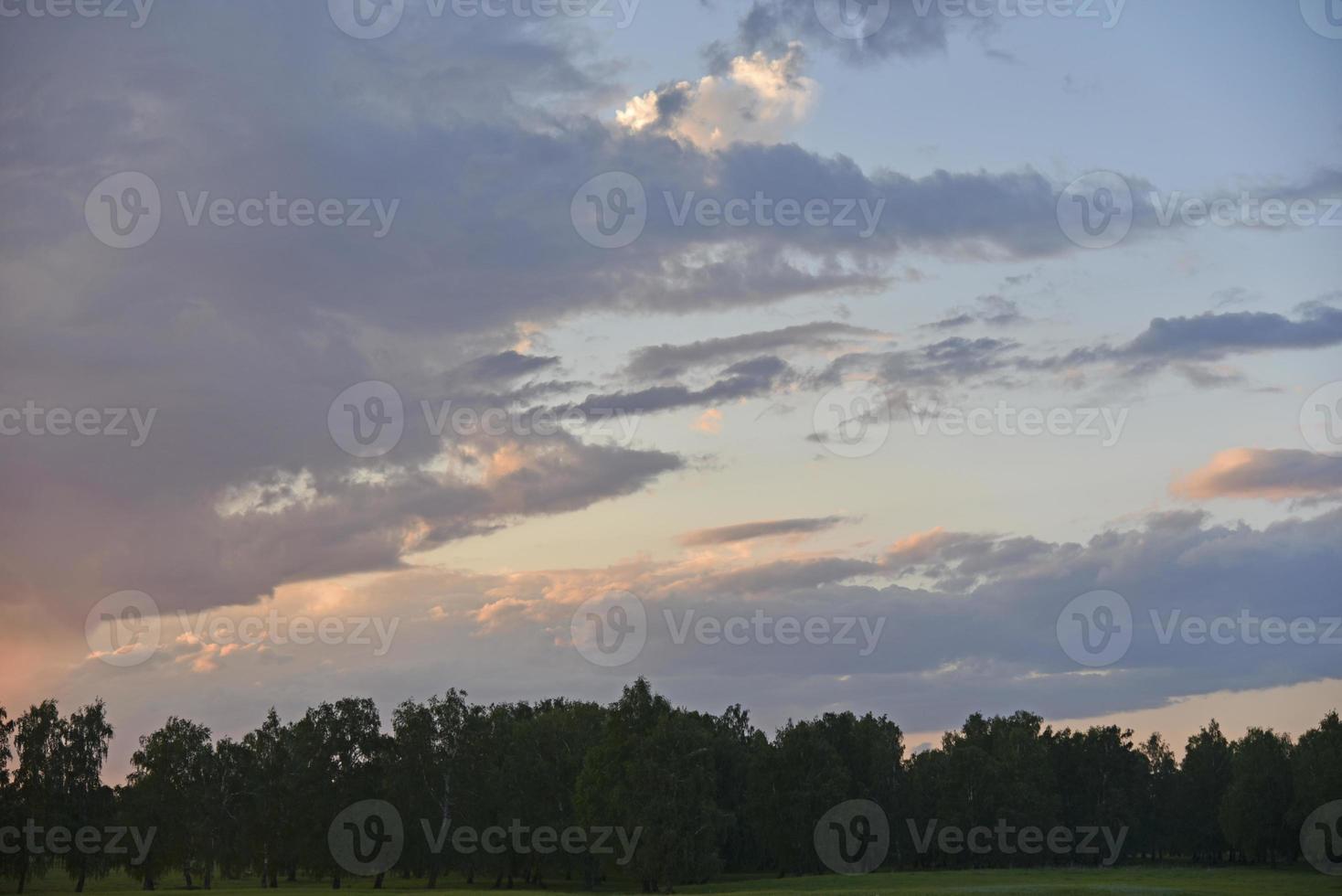 avond bos horizon met donderende roze wolken foto