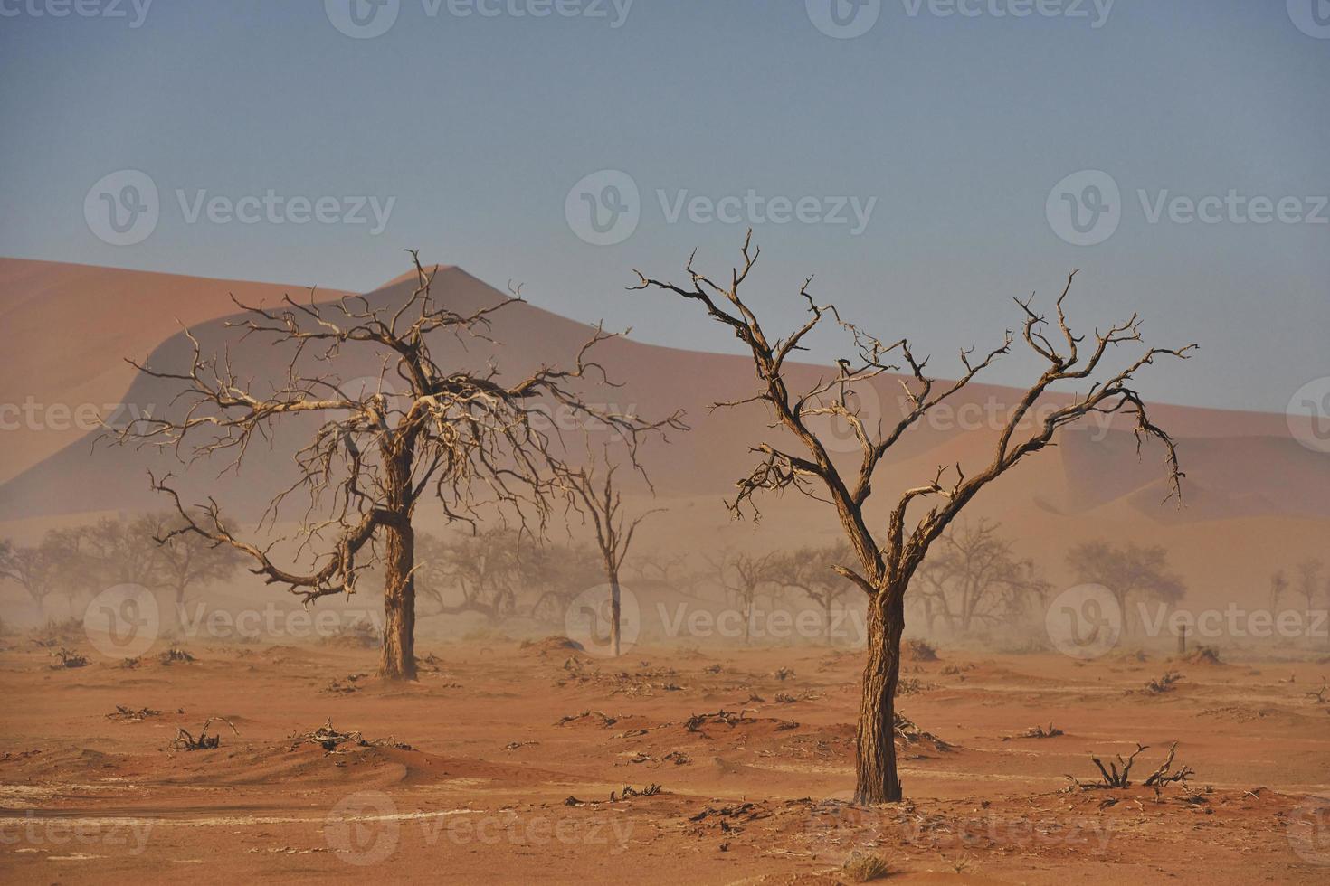 grote afstand. majestueus uitzicht op verbazingwekkende landschappen in de Afrikaanse woestijn foto