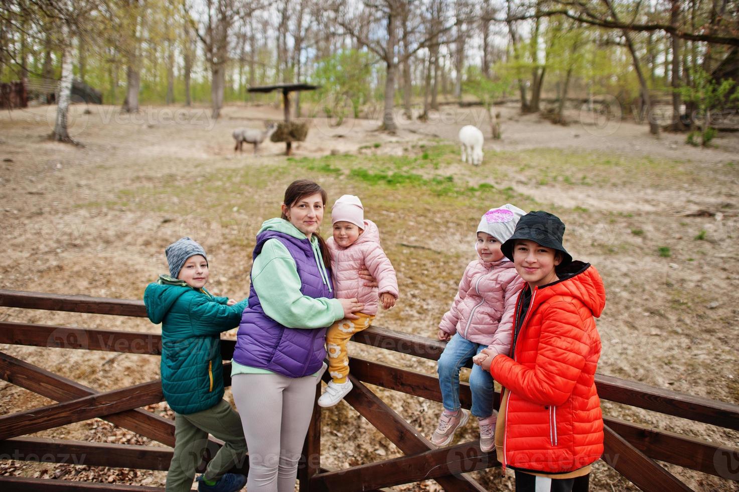 moeder met vier kinderen die dieren ontdekken en bekijken in de dierentuin. foto