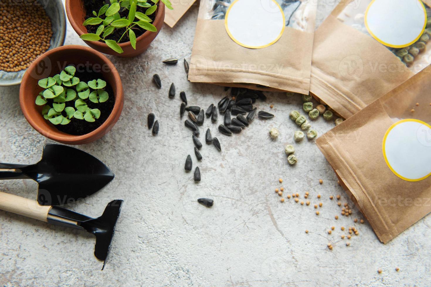 microgreenzaden in papieren zakken en apparatuur voor het zaaien van microgreens. foto