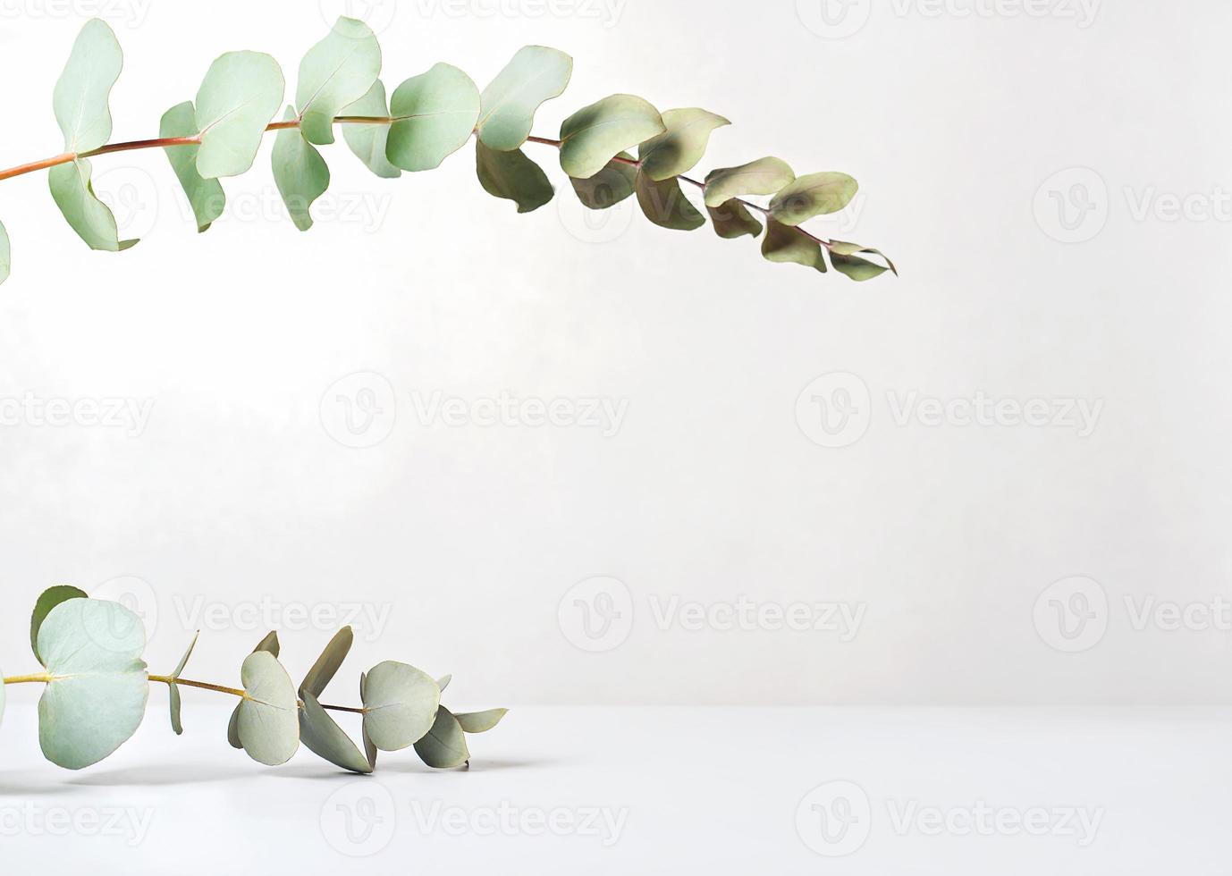 eucaliptusbladeren op beige achtergrond, weergave van productplaatsing. ruimte kopiëren. groene bladerenscène voor het tonen van eco-cosmetische of zelfzorgartikelen. foto