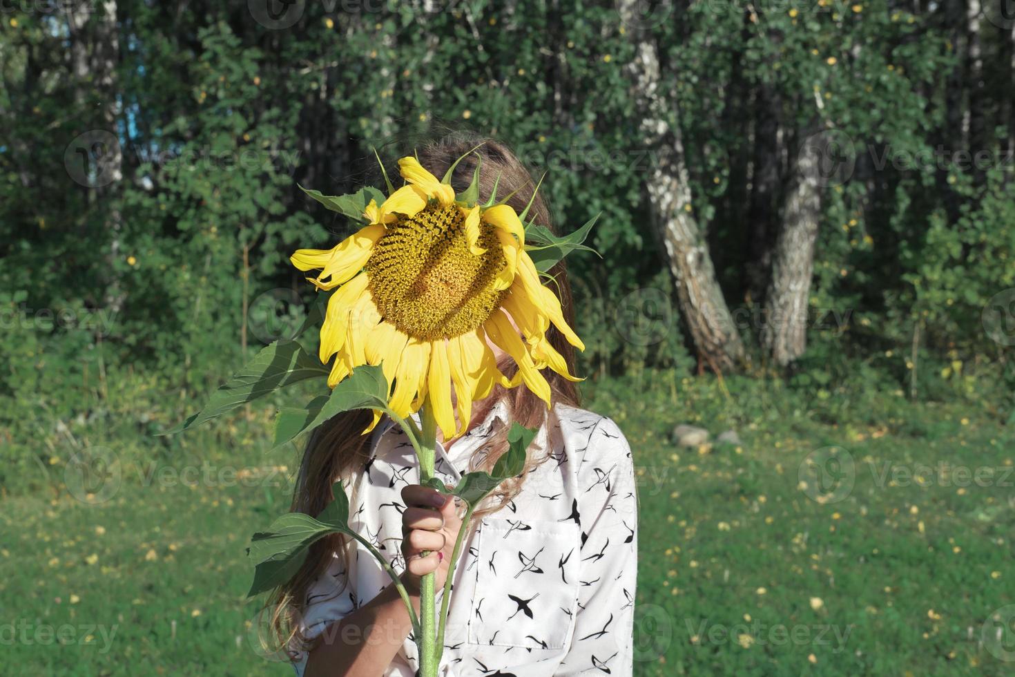 meisje verbergt haar gezicht achter een zonnebloem. zomervakantie foto