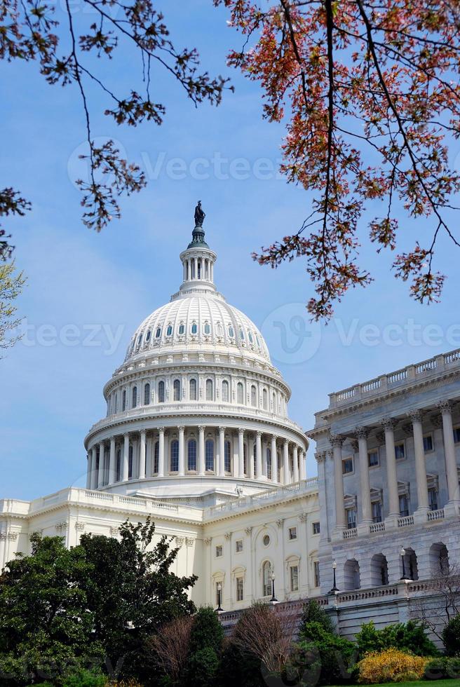 Washington DC uitzicht foto